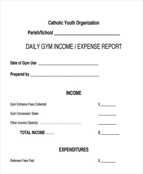 daily income and expense report