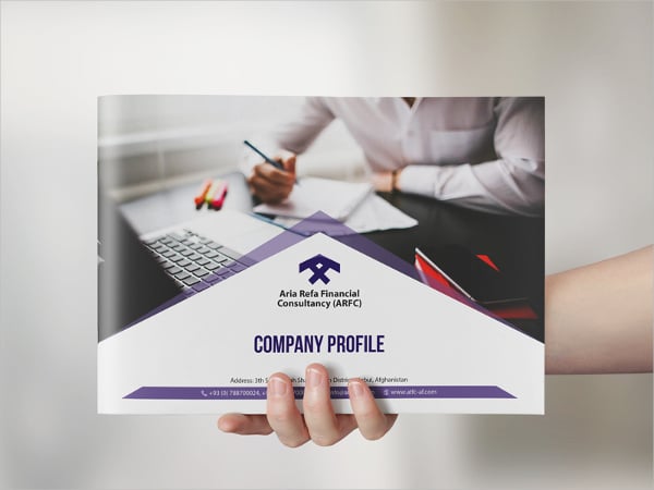professional finance company brochure
