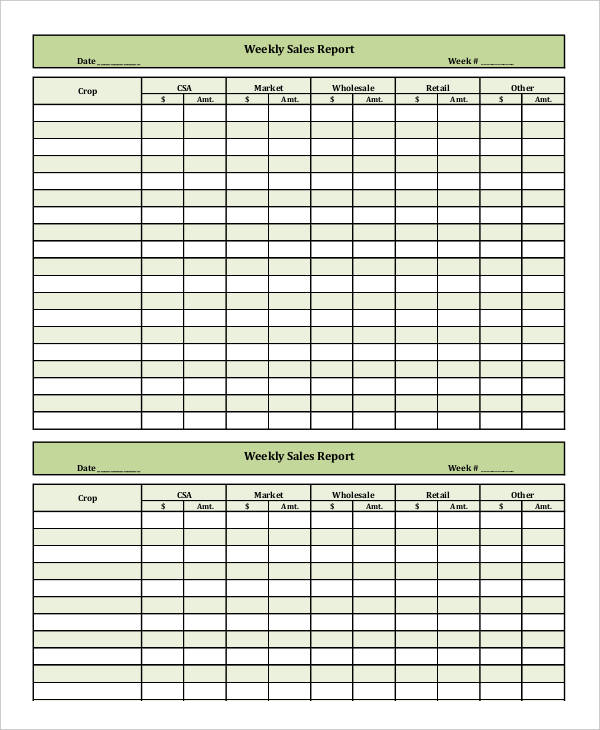 22+ Sales Report Templates - Word, Docs, PDF