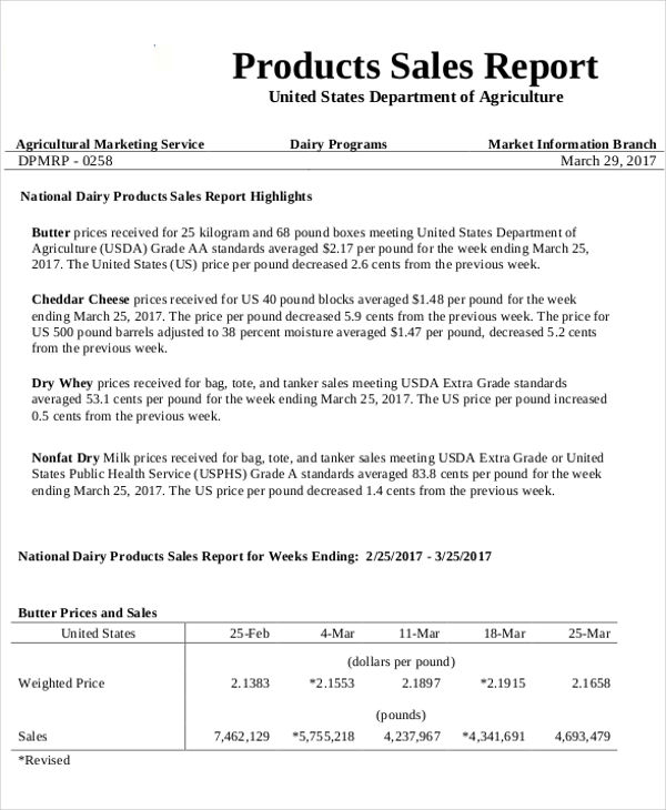 25 Sales Report Samples Word PDF Docs