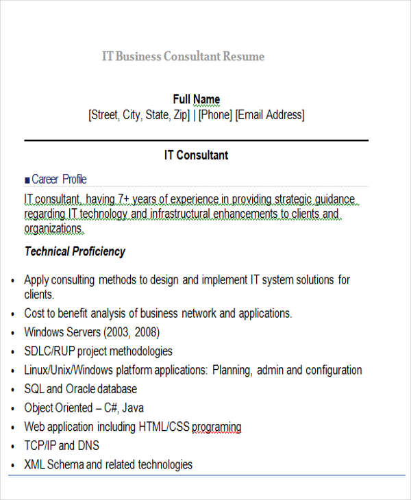 it business consultant resume