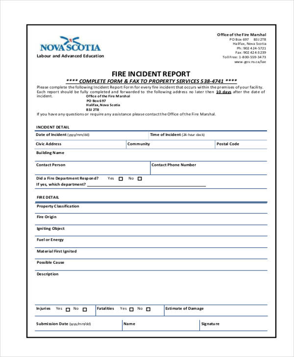 49+ Report Samples - Word, Pages, PDF, Docs image.