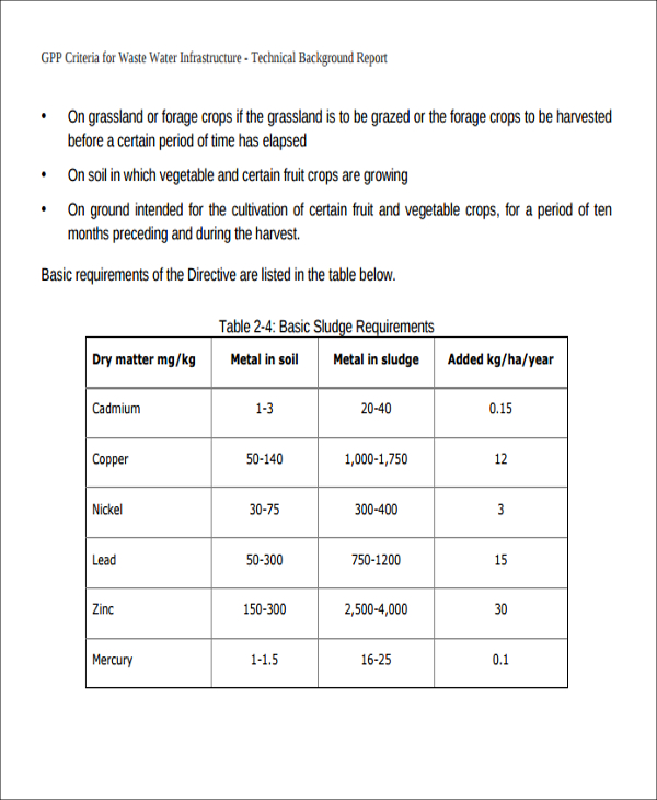 8+ Background Report Examples