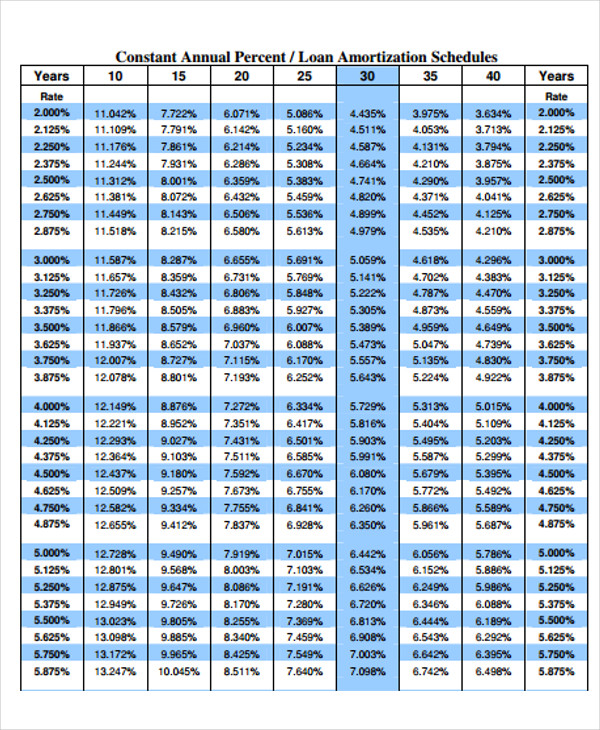 29 Amortization Schedule Templates