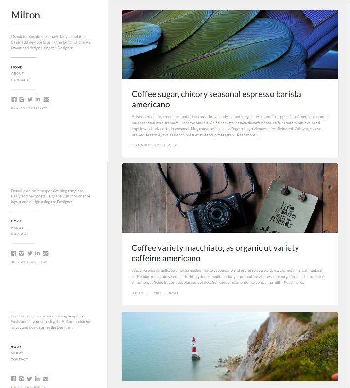 blog website template11