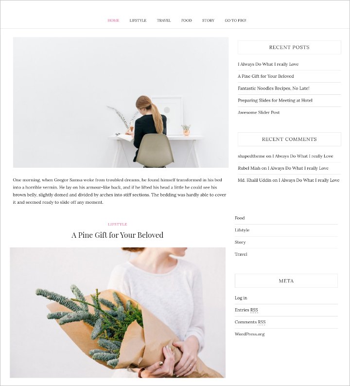 elegant wordpress blog theme1