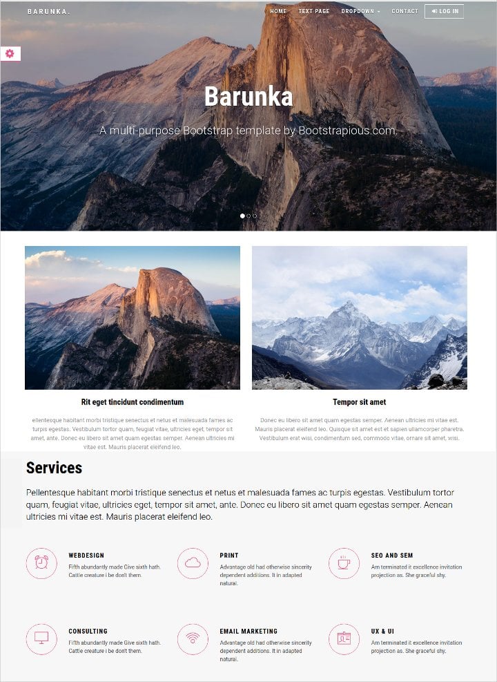 bootstrap responsive template