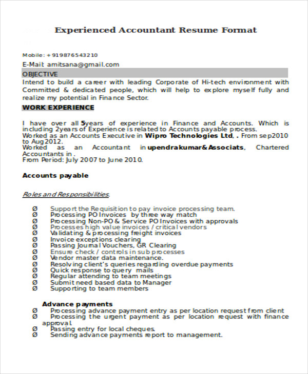 Junior Accountant Resume Format In Word Free Download Accountant 