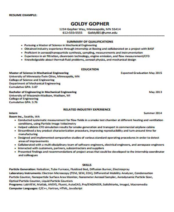 42 Curriculum Vitae Examples Pdf Doc Free Premium Templates