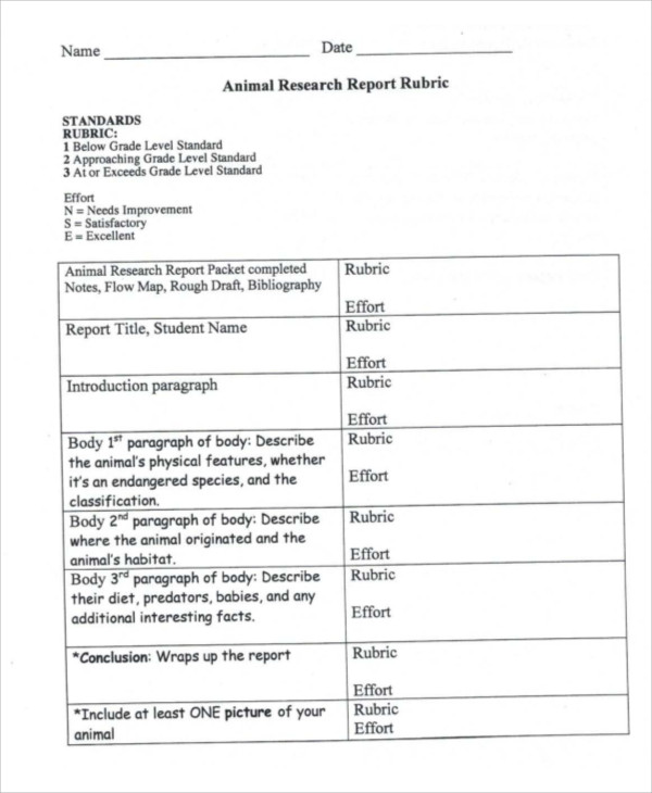 9+ Animal Report Templates - Free Sample, Example Format Download