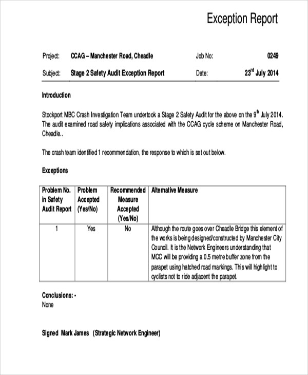 15+ Exception Report Templates Free Sample, Example Format Download