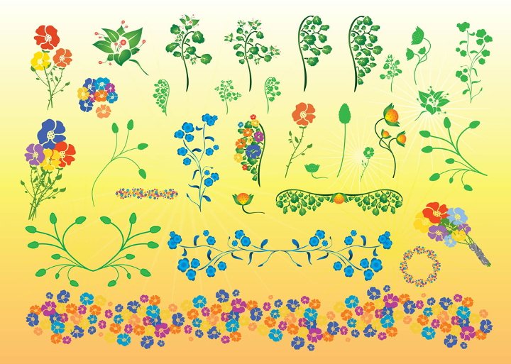 beautiful flower illustration1