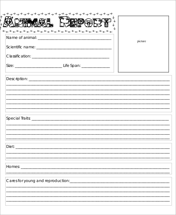 9  Animal Report Templates Free Sample Example Format Download