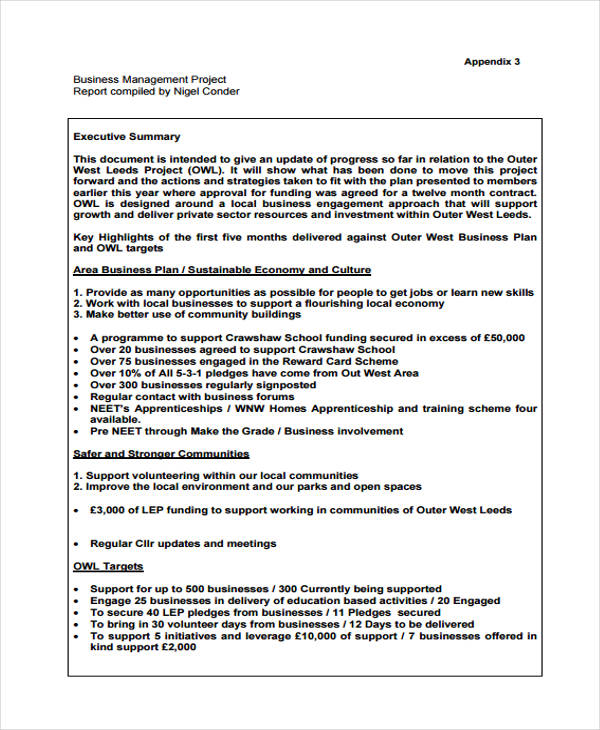 project report pdf sample printable
