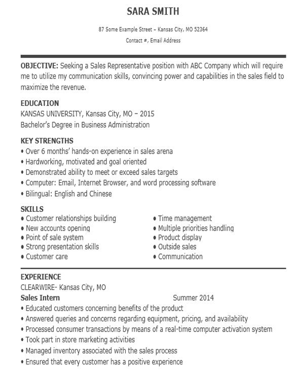 Resume Format For Sales Person