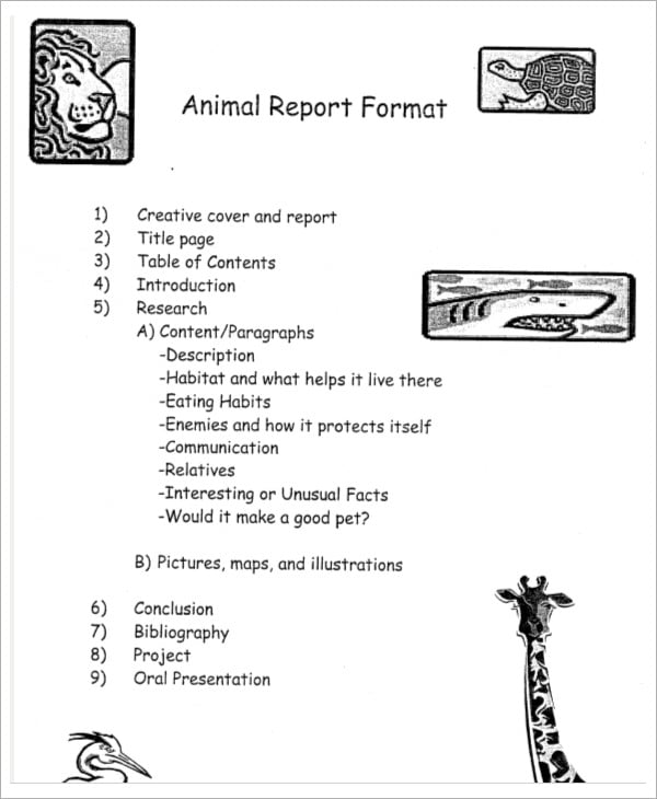 example of animal report