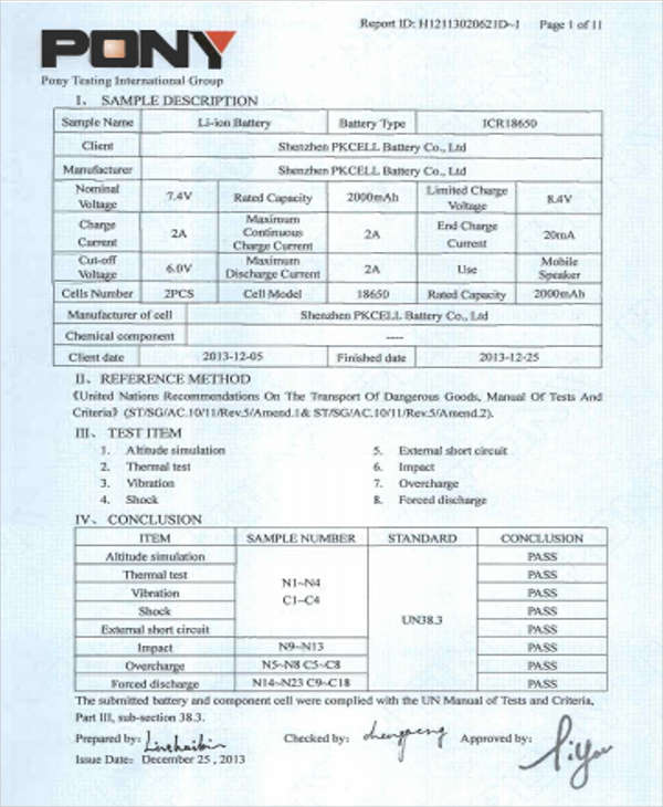 example of test report