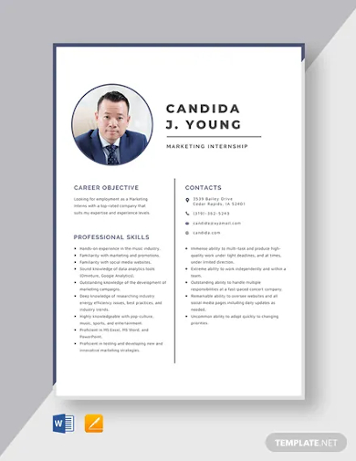 10+ Sample Internship Curriculum Vitae Templates - Pdf, Doc