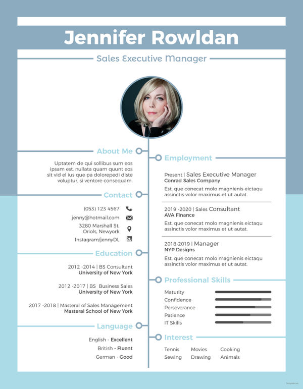 sample resume for sales executive word format free download