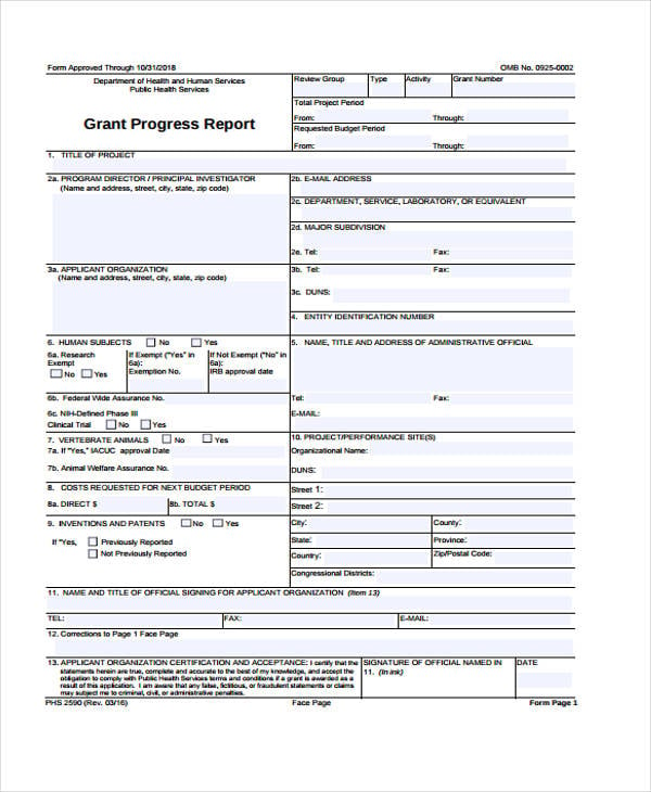 grant progress report template