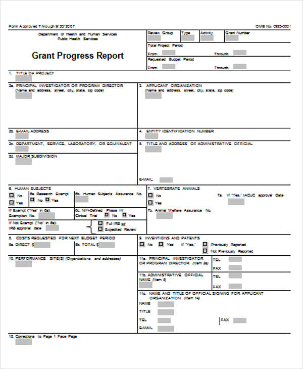 grant progress report