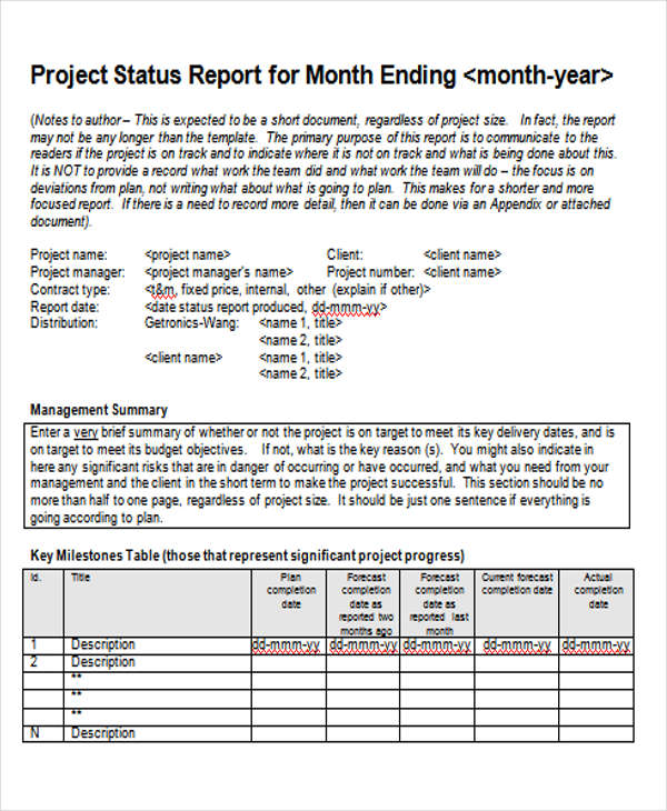monthly project status report