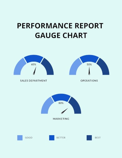 performance report gauge chart