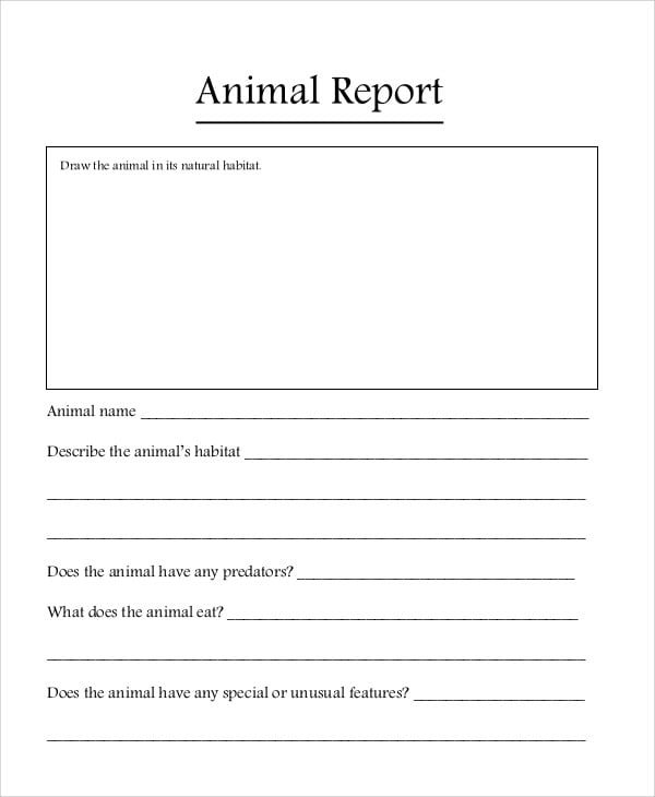 printable animal report