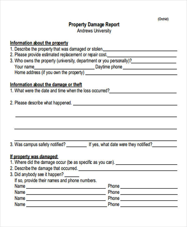 property report template