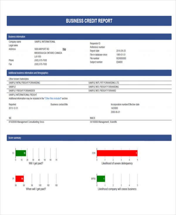 12+ Sample Credit Report Templates- Docs, Word, Pages