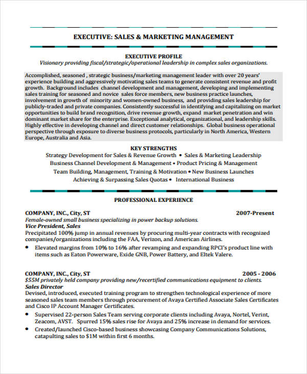 33+ Executive Curriculum Vitae Templates - PDF,DOC