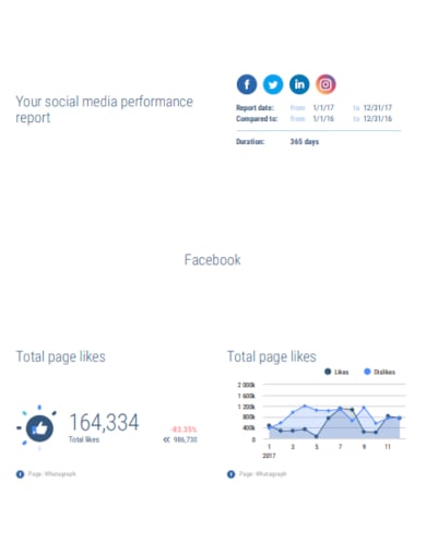 social media performance report