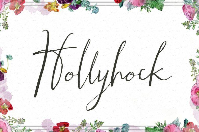 hollyhock 788x