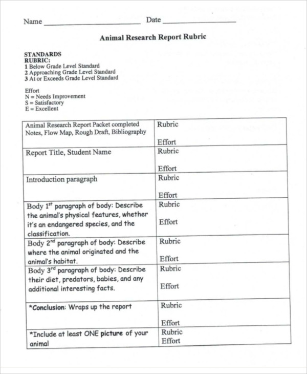 9-animal-report-templates-word-pdf
