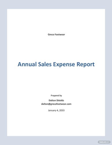 annual sales expense report template