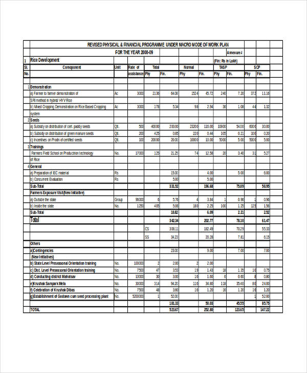 annual work plan