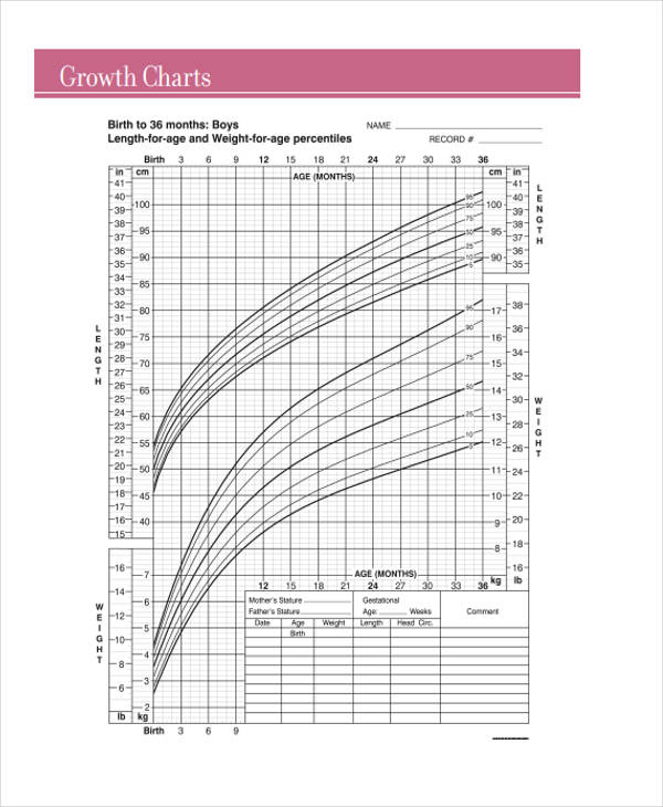 Growth Chart Templates 7+ Free Word, PDF Format Download