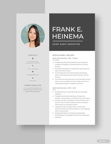 chief audit executive resume template