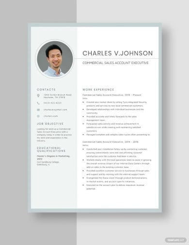 commercial sales account executive resume template