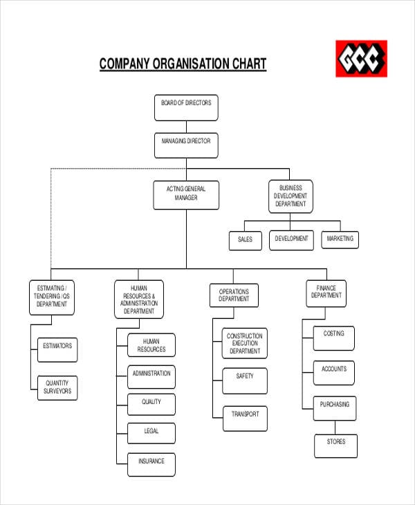 company hierarchy