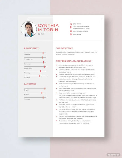 Dentist Curriculum Vitae Templates - 10+ Free Word, PDF Format Download