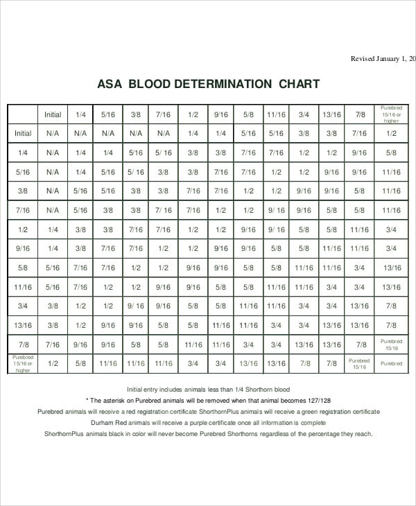 example of blood chart