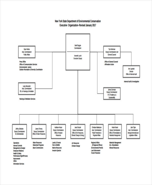 8+ Hierarchy Chart Templates - Free Sample, Example Format Download