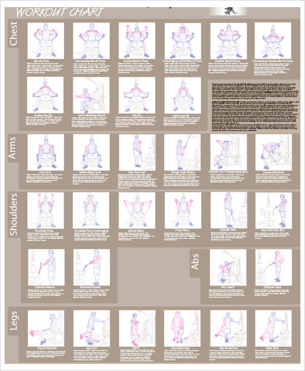 9+ Body Chart Templates - Word, PDF