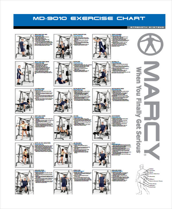 Exercise Chart Templates - 9+ Free Sample, Example Format Download