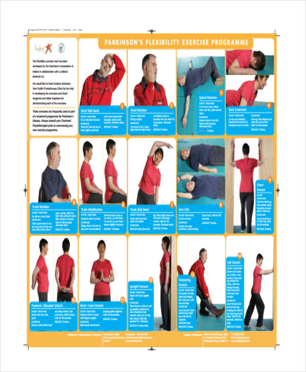 Exercise Chart Templates - 9+ Free Sample, Example Format Download