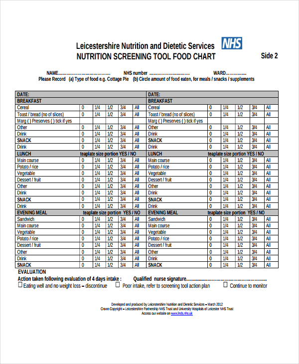 Food Chart Template Excel 