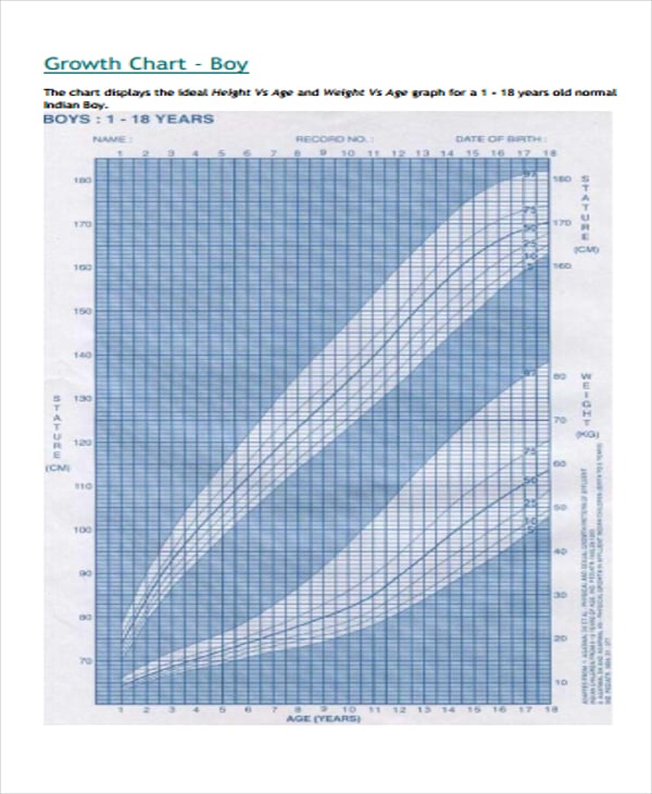 8+ Growth Chart Templates Free Sample, Example Format Download