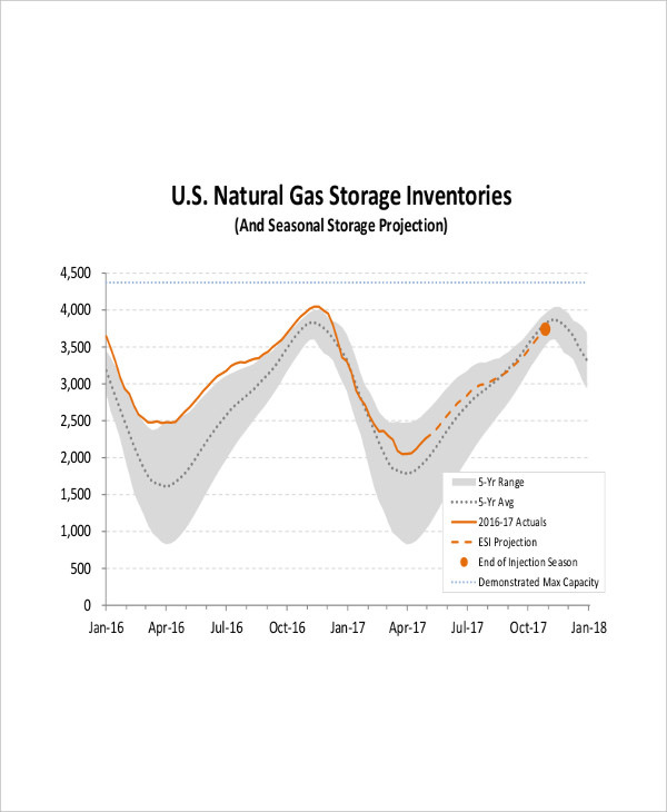 7+ Storage Inventory Templates - Free Sample, Example Format Download