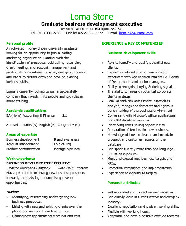 Business Curriculum Vitae Template - 8 Free Word, PDF Documents Download